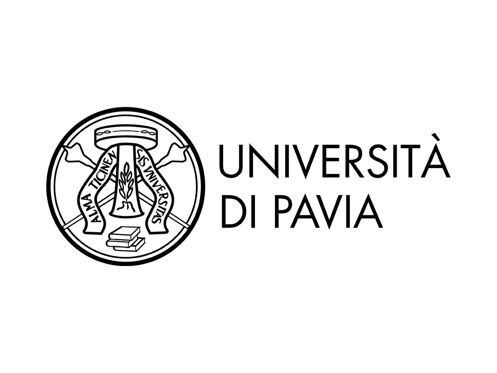 University of Pavia – Computational Mechanics and Advanced Materials Group